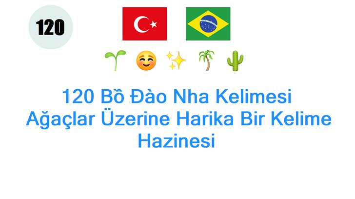 120 Bồ Đào Nha Kelimesi: Ağaçlar Üzerine Harika Bir Kelime Hazinesi